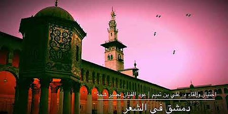 سلسلة مدن الشعر