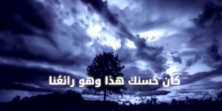 قصائد يسوعية في حب المحمدية