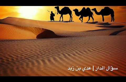 الدهر والفتى | عدي بن زيد